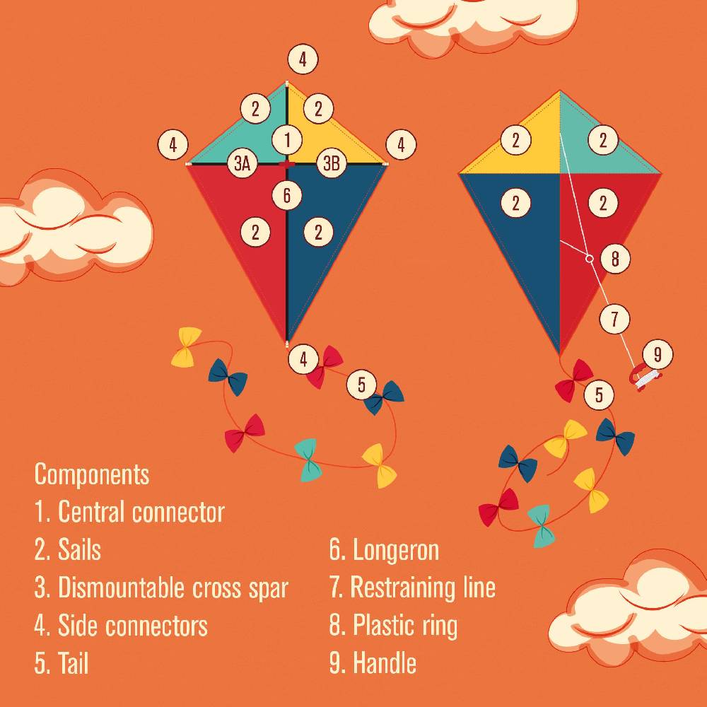 Legami Aquilone Spedizione Gratuita
