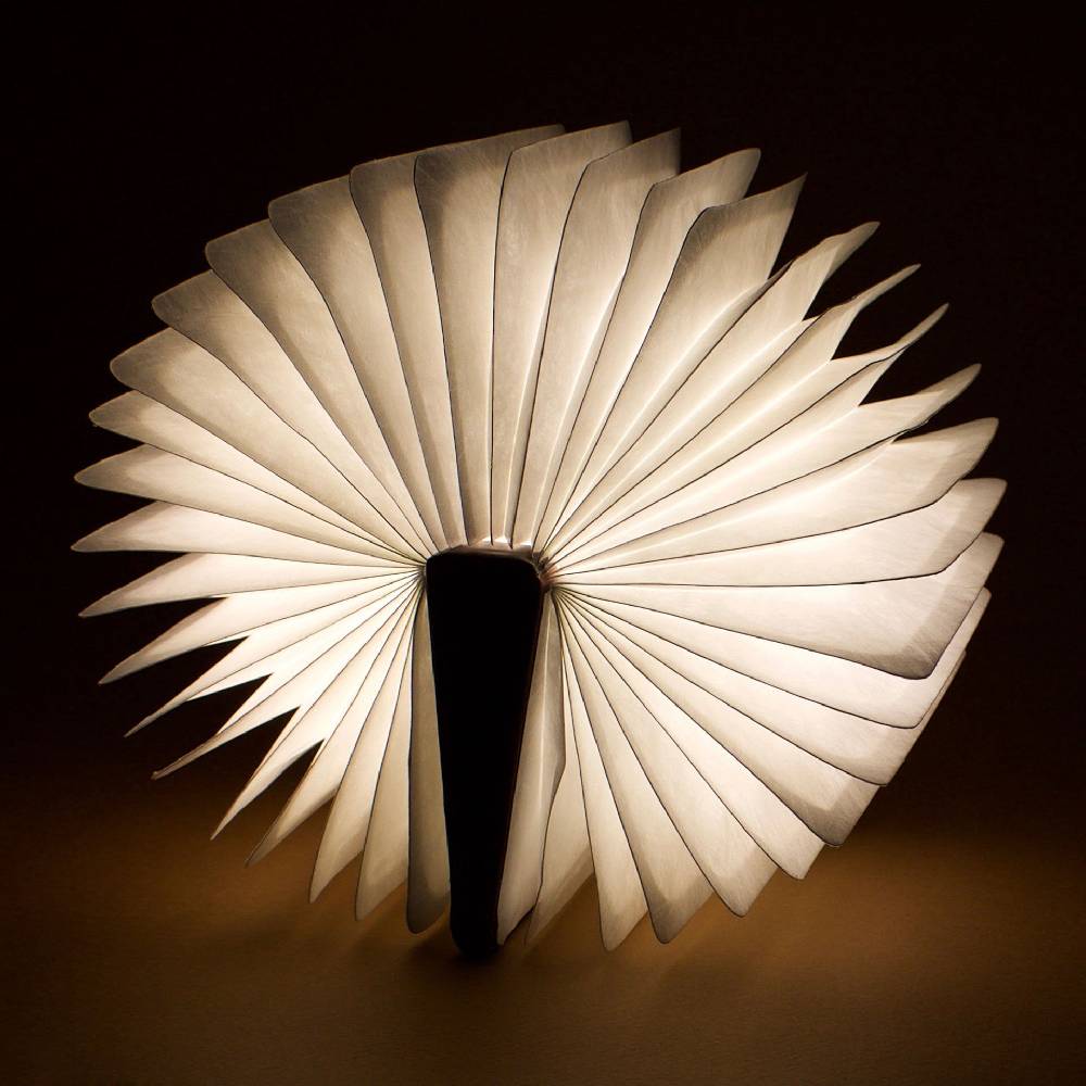 Legami Libro Luminoso - Light Book Negozi Online