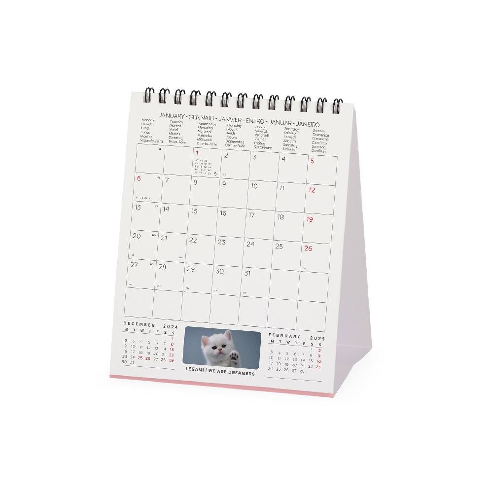 Legami Calendario da Tavolo 2025 - 12 x 14,5 cm In Linea