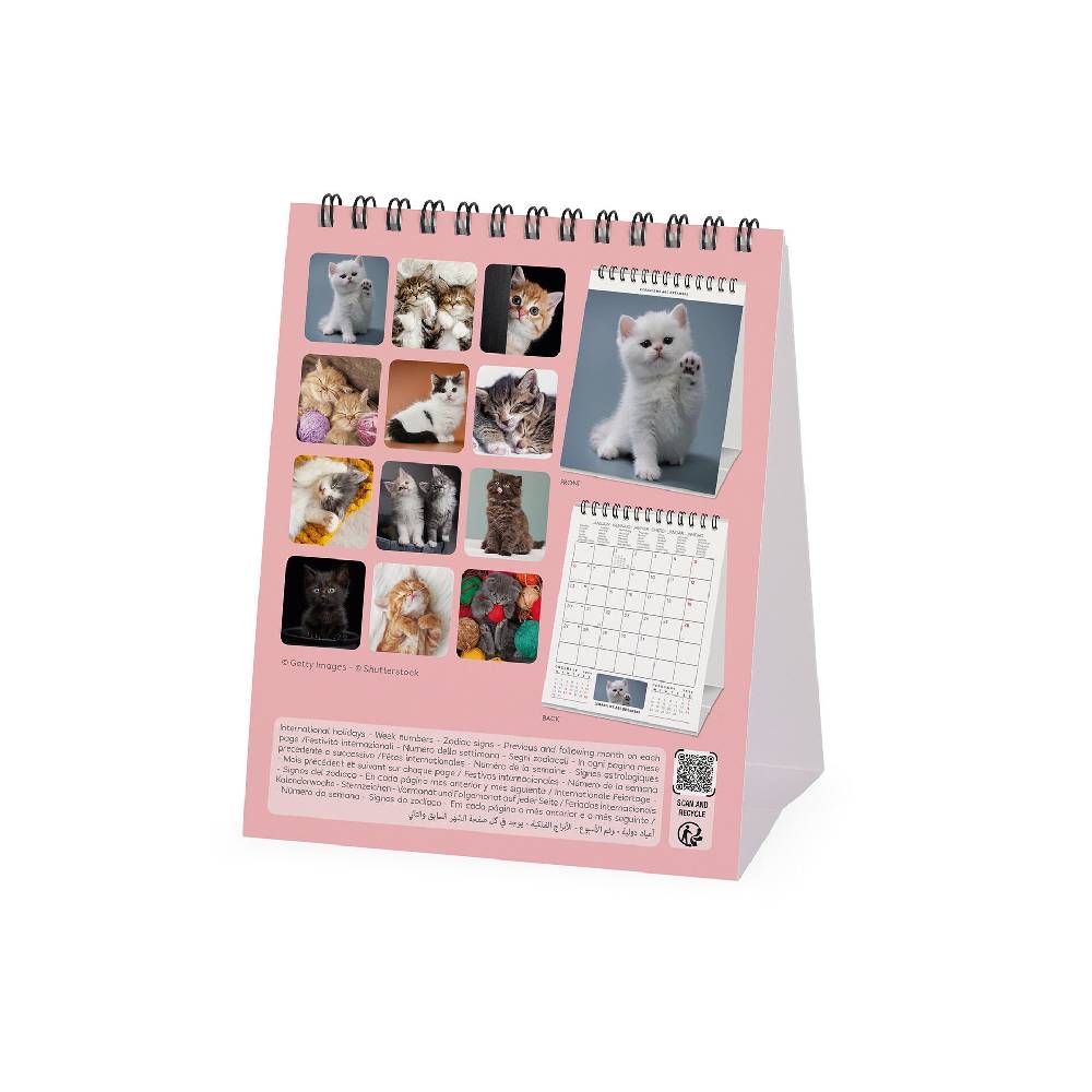 Legami Calendario da Tavolo 2025 - 12 x 14,5 cm In Linea
