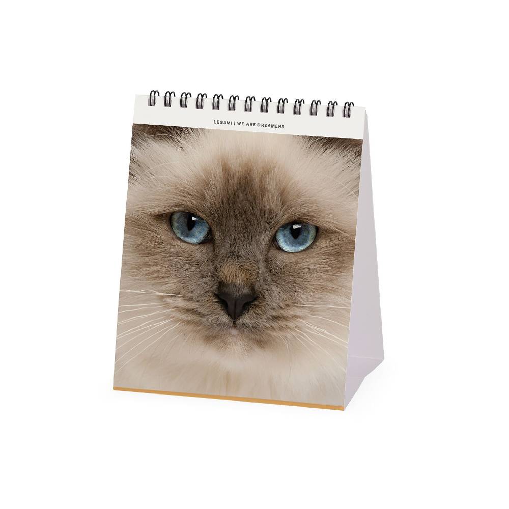 Legami Calendario da Tavolo 2025 - 12 x 14,5 cm Promozione