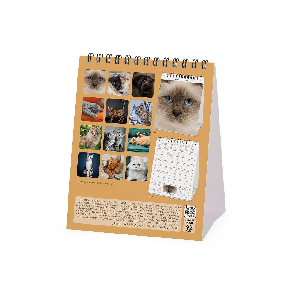 Legami Calendario da Tavolo 2025 - 12 x 14,5 cm Promozione