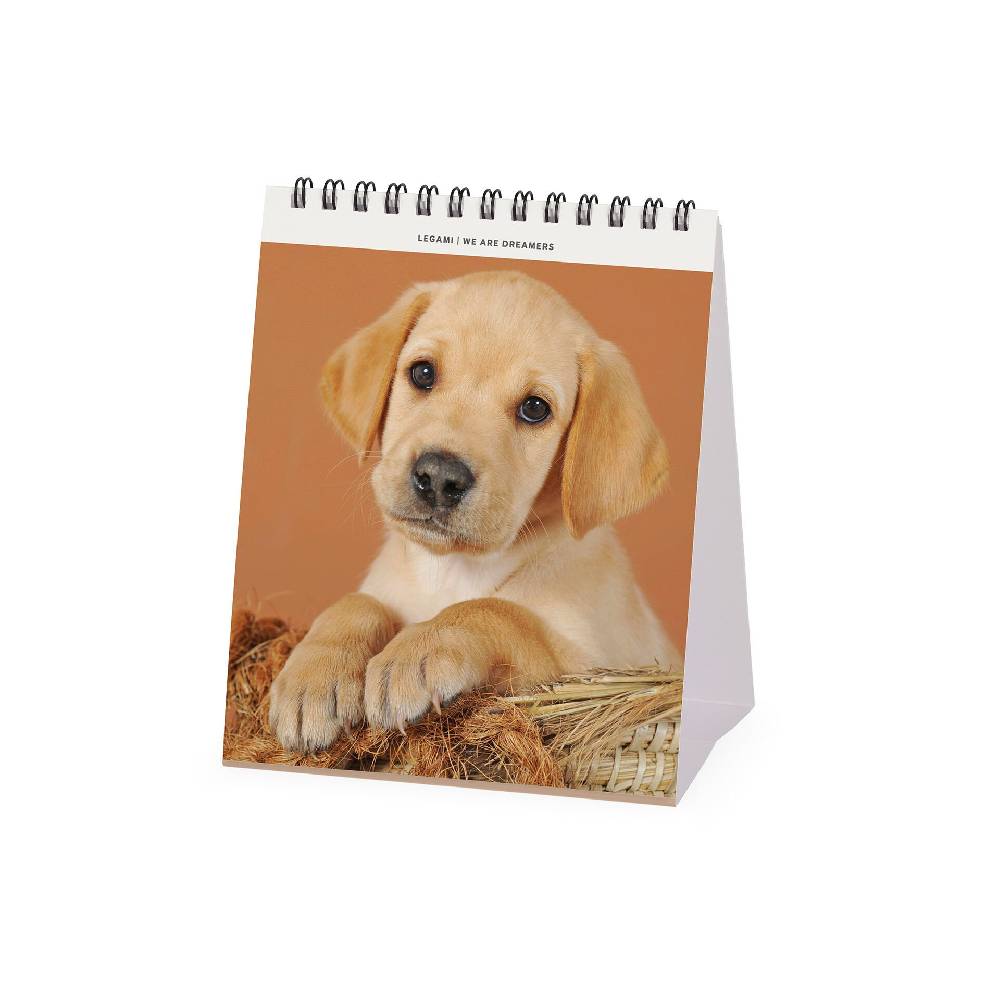 Legami Calendario da Tavolo 2025 - 12 x 14,5 cm Qualità Garantita