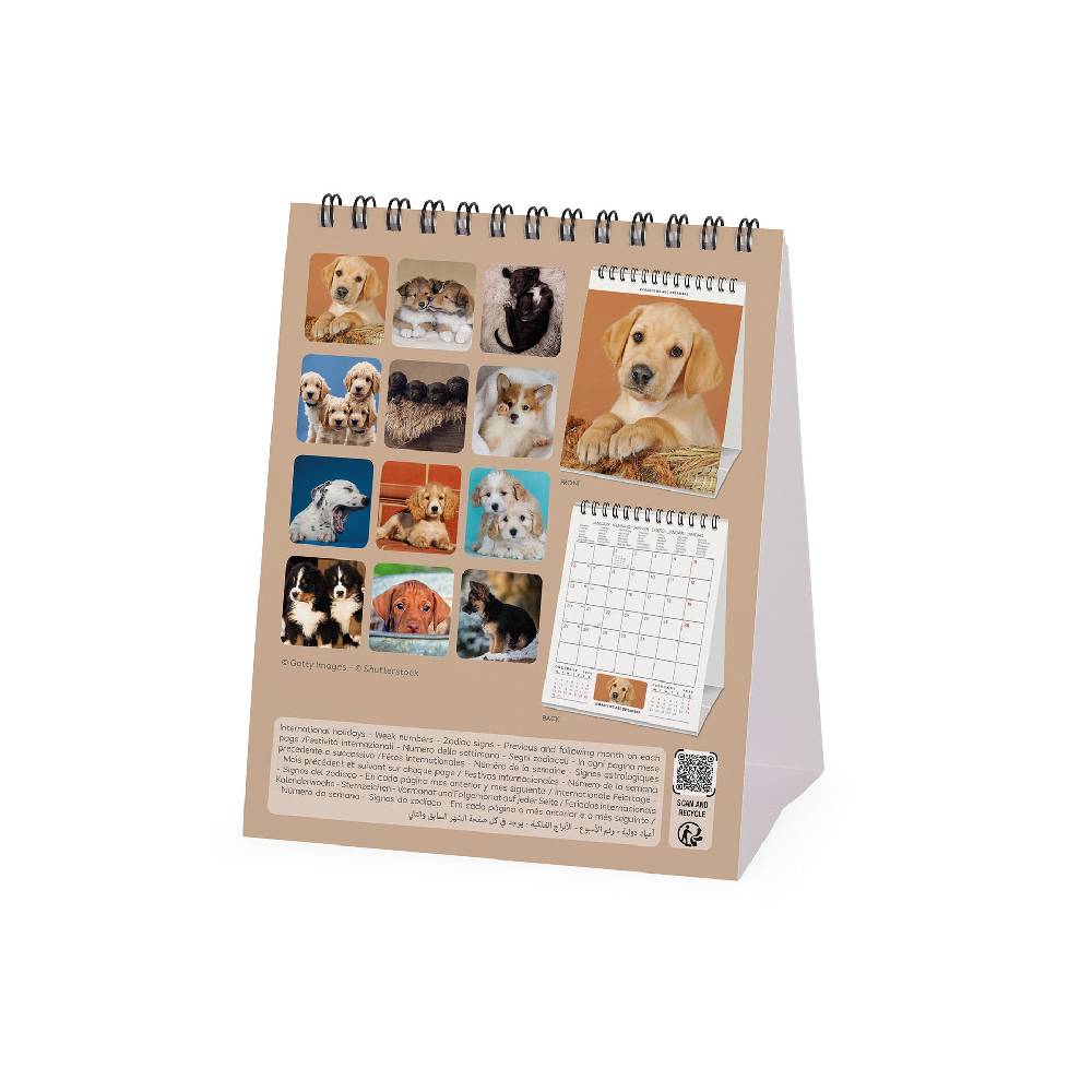 Legami Calendario da Tavolo 2025 - 12 x 14,5 cm Qualità Garantita