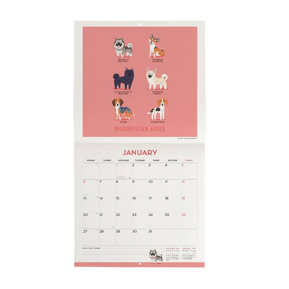 Legami Calendario da Parete 2025 - 30 x 29 cm Online