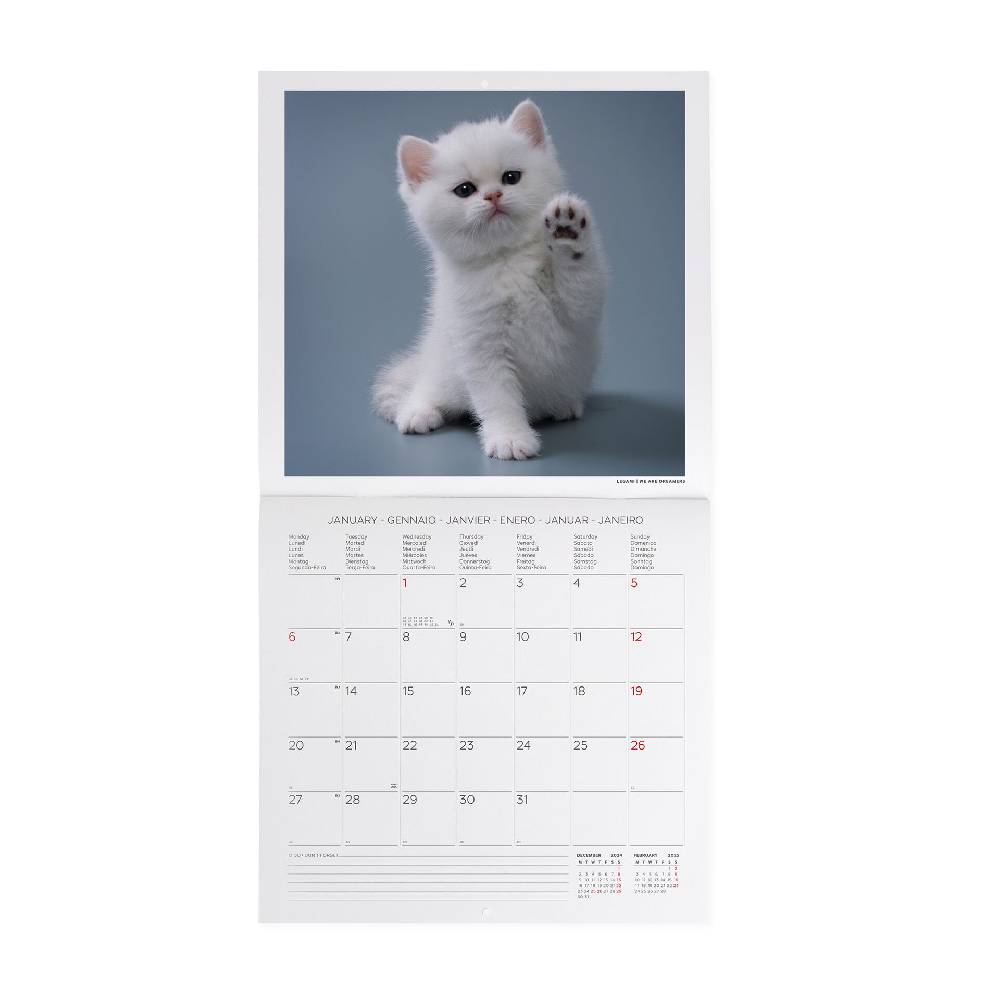 Legami Calendario da Parete 2025 - 30 x 29 cm Offerte