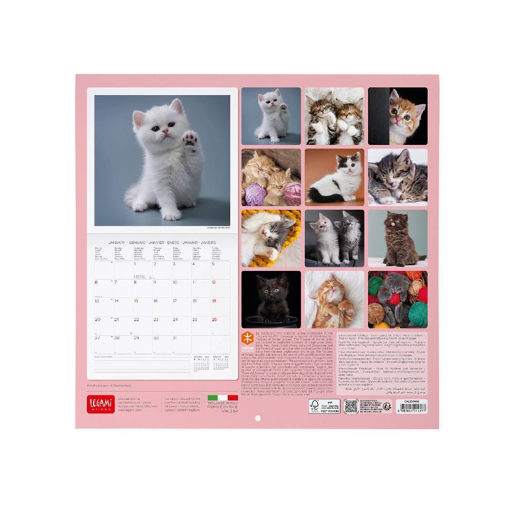 Legami Calendario da Parete 2025 - 30 x 29 cm Offerte