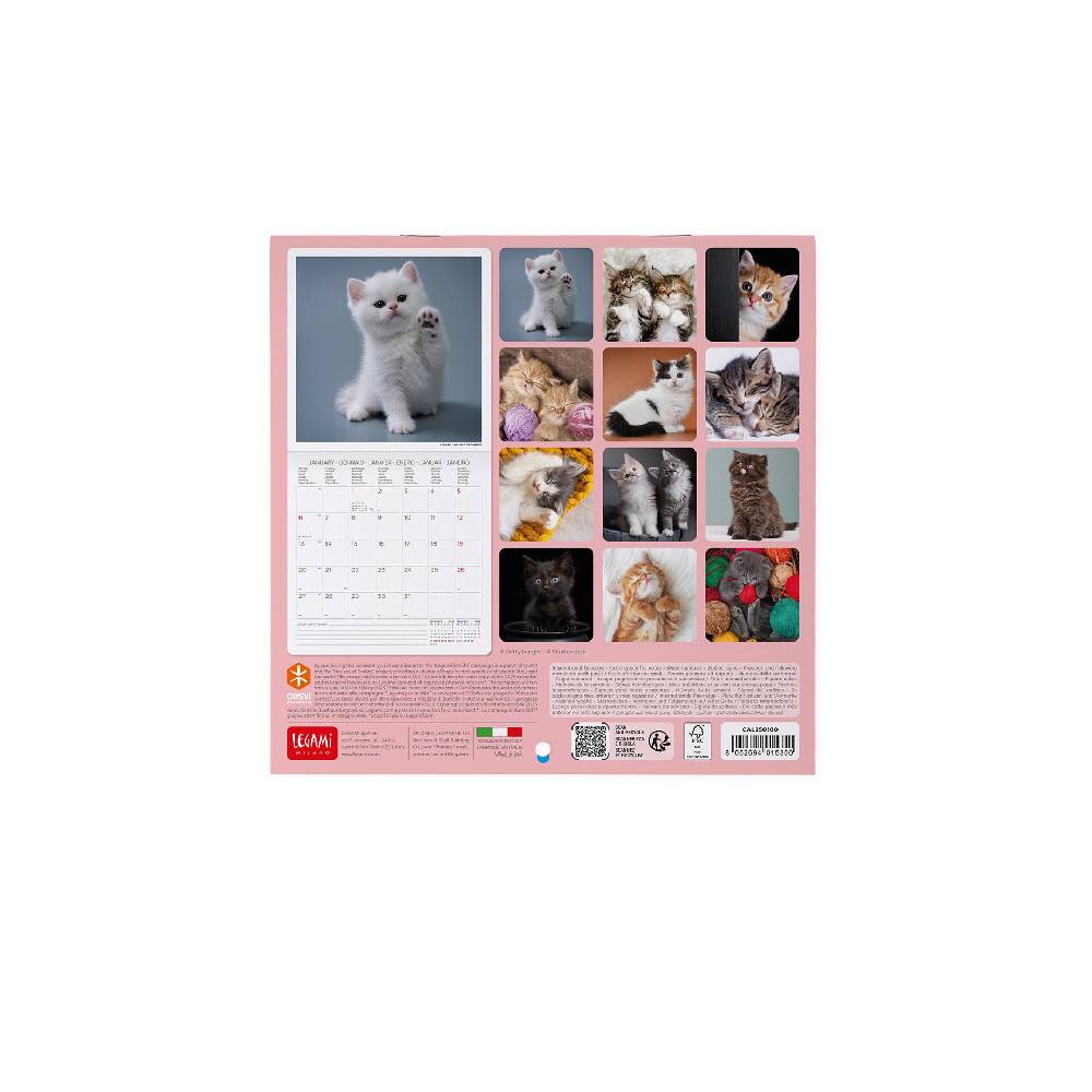Legami Calendario da Parete 2025 - 18 x 18 cm Vendita Economica