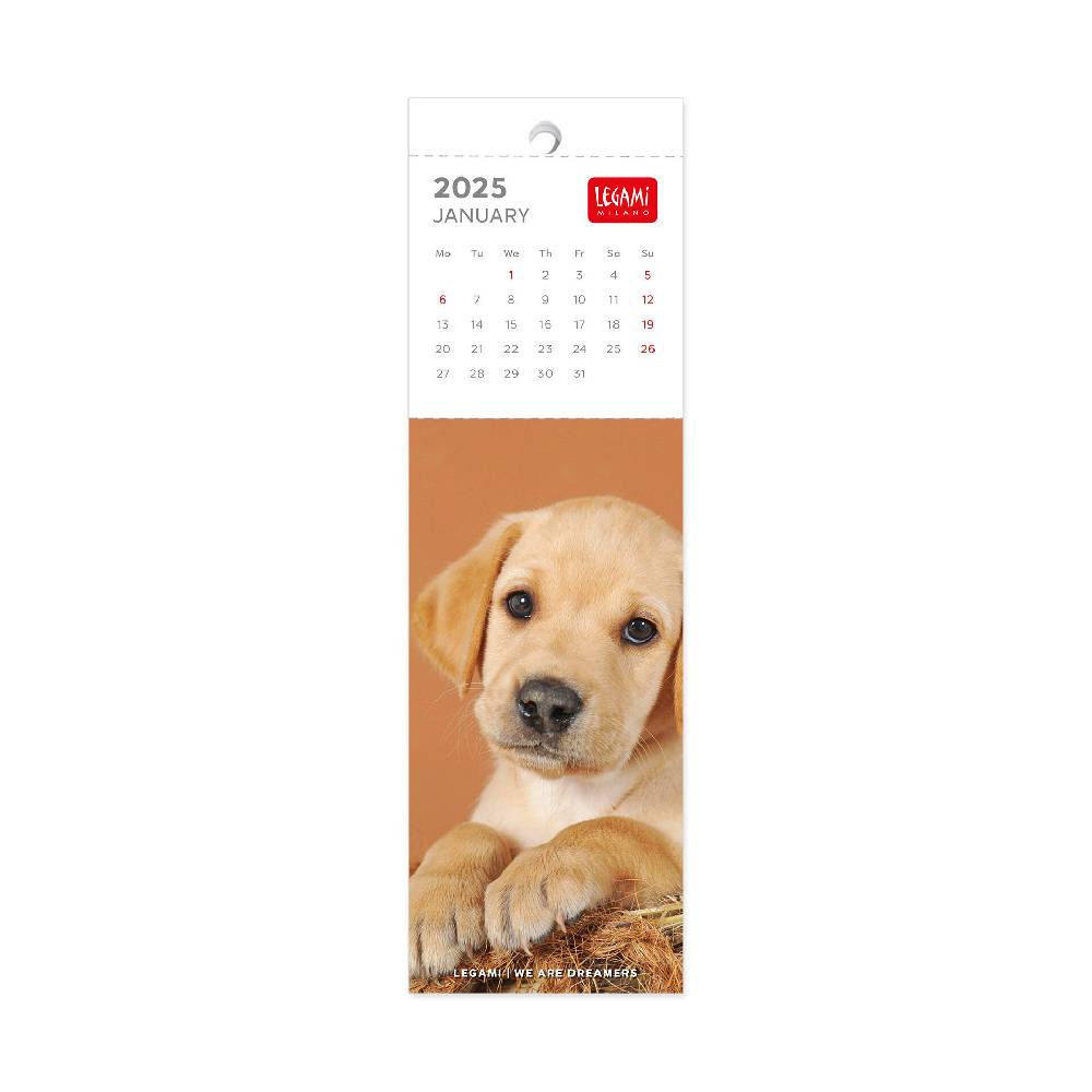 Legami Calendario Segnalibro 2025 - 5,5 x 18 cm Promozione