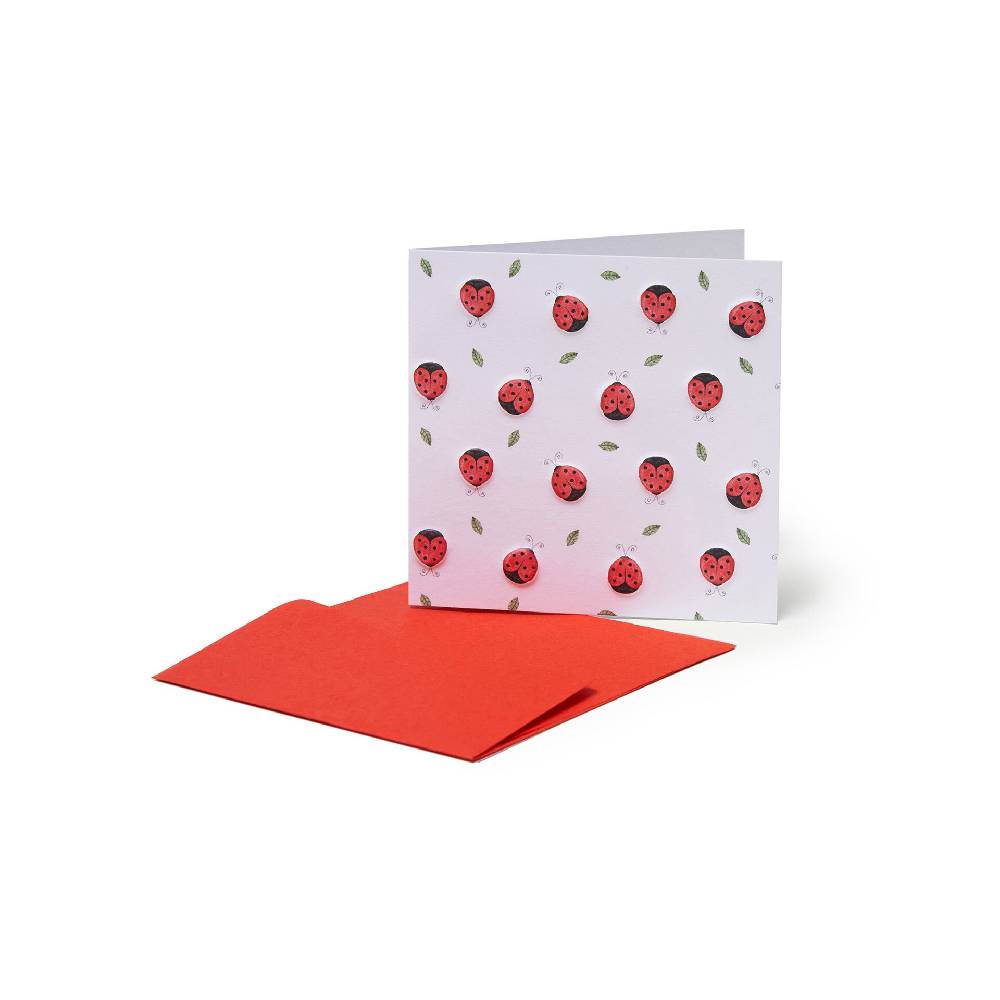Legami Biglietto per Ogni Ricorrenza - Coccinelle