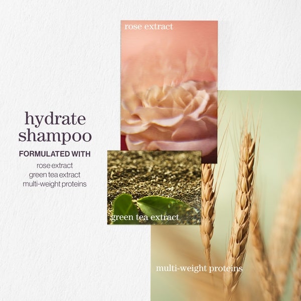 Pureology Pureology Hydrate Shampoo 266ml Nuova