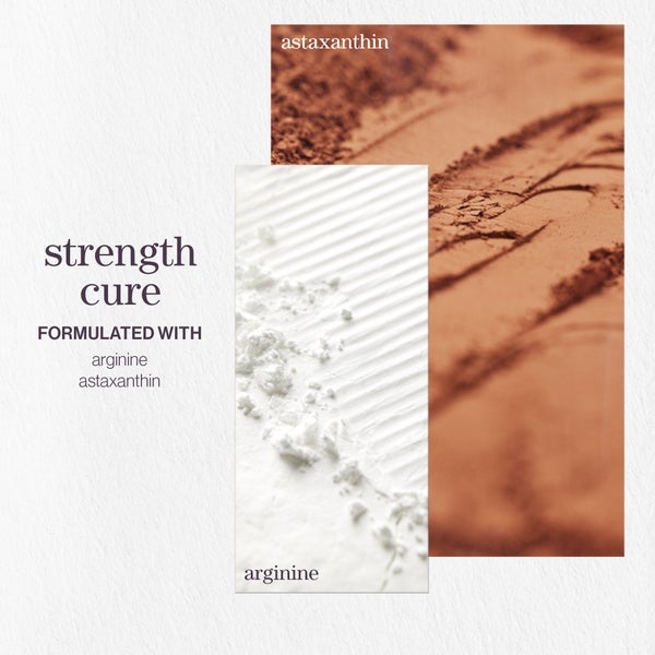 Pureology Pureology Strength Cure Shampoo 266ml Affare Del Giorno