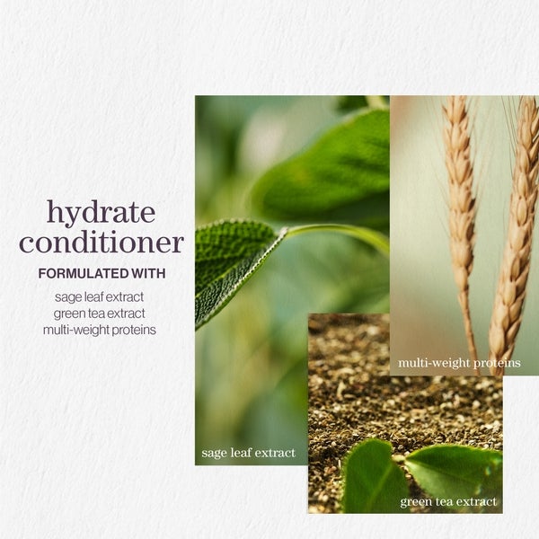 Pureology Pureology Hydrate Shampoo and Conditioner Moisturising Bundle for Dry Hair Sulphate Free for a Gentle Cleanse Affare Del Giorno