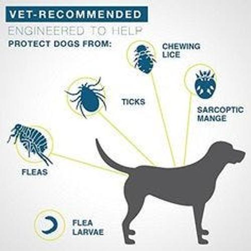 Bauzaar Seresto Collare Antipulci per Cani Italia