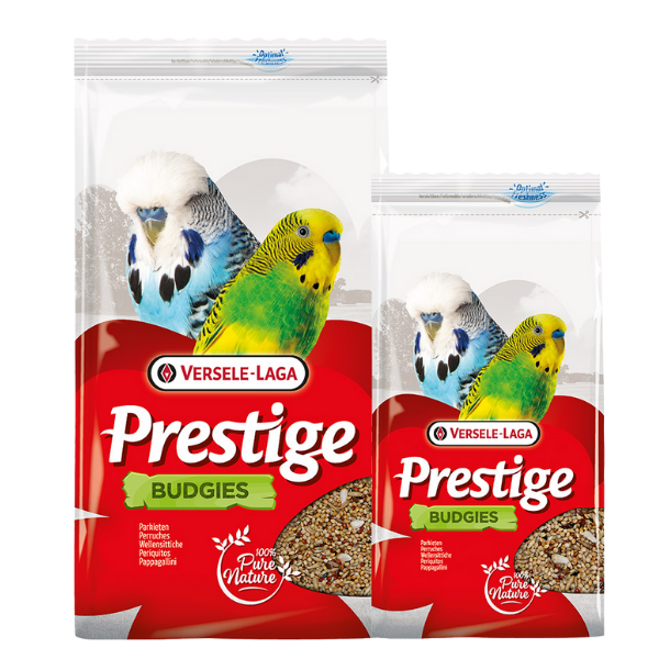 Bauzaar Versele Laga Prestige Cocorite Budgies