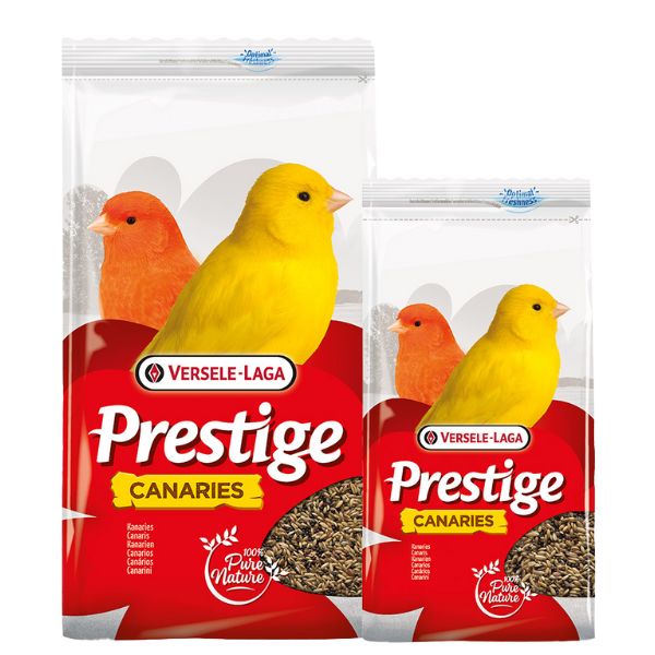 Bauzaar Versele Laga Prestige Canarini