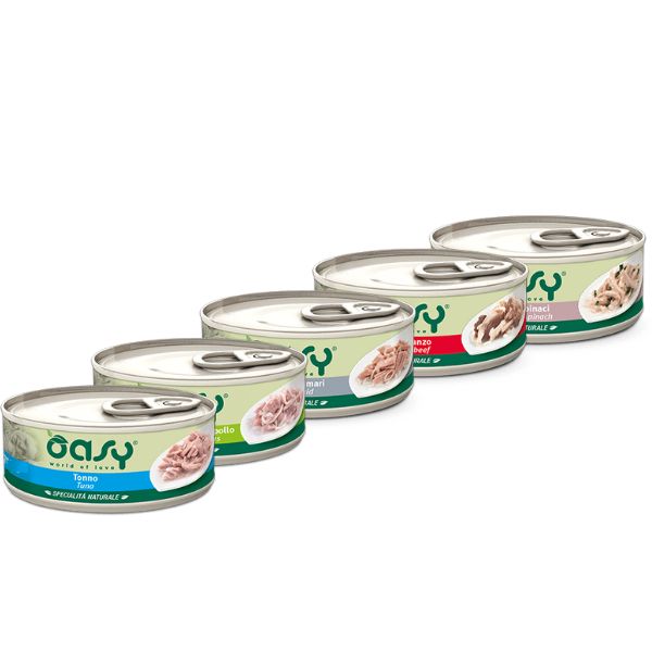 Bauzaar confezione da 6 Offerta