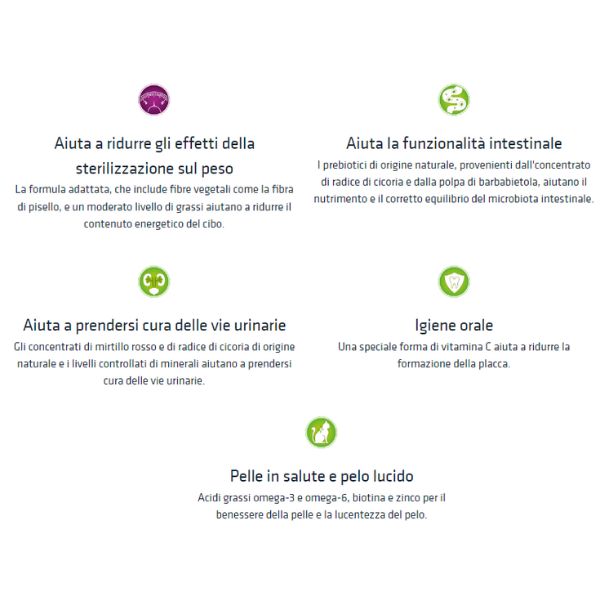Bauzaar Natural Trainer Adult Sterilised con Salmone Offerte