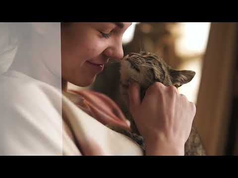 Bauzaar Alfa Premium Cat Food Skin Care Salmone Hotsell