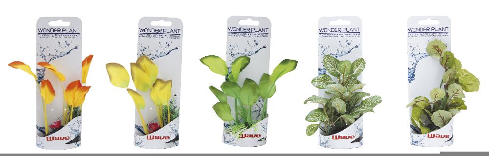 Bauzaar Piante finte decorative Wonder Amtra