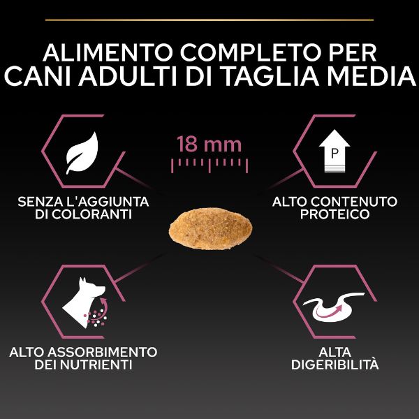 Bauzaar Purina Pro Plan Sensitive Skin Medium Adult Crocchette per Cane Salmone Fino Al -60%