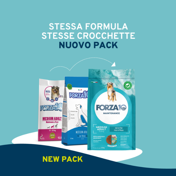 Bauzaar Forza10 Maintenance Medium Adult al Pesce Affare Del Giorno