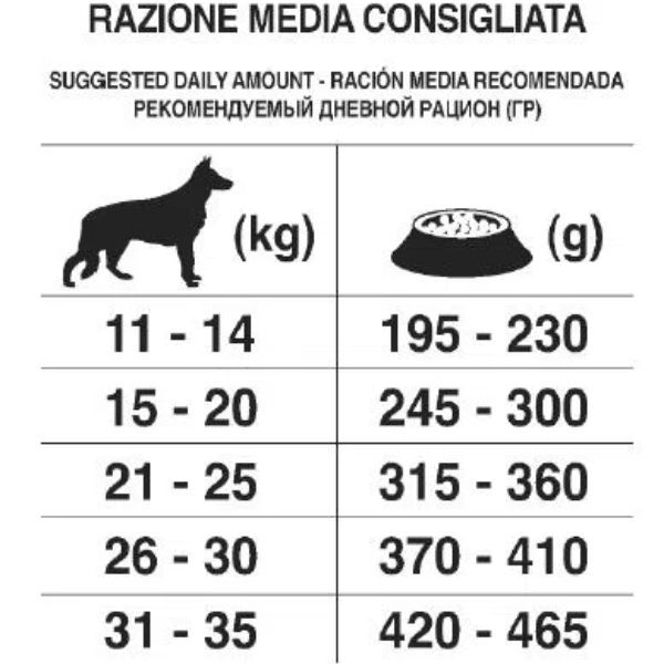 Bauzaar Forza10 Maintenance Medium Adult al Pesce Affare Del Giorno