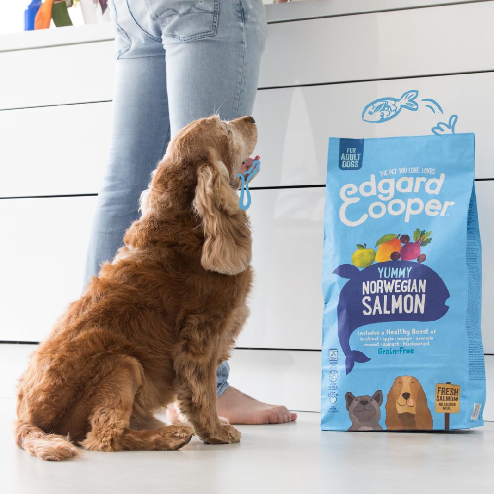 Bauzaar Edgard & Cooper Adult Grain Free Salmone Convenienza