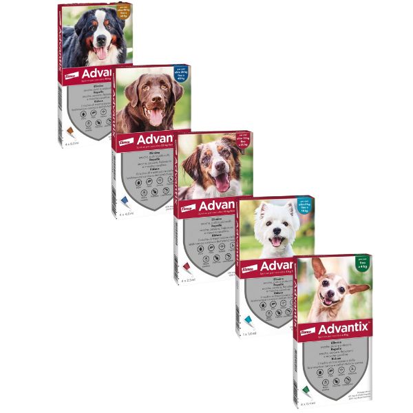 Bauzaar Advantix antiparassitario Spot-On per cani