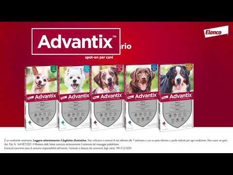 Bauzaar Advantix antiparassitario Spot-On per cani Novità