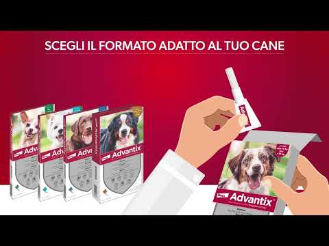 Bauzaar Advantix antiparassitario Spot-On per cani Novità