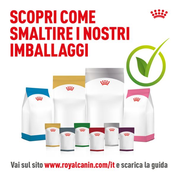 Bauzaar Royal Canin Medium Puppy Hotsell
