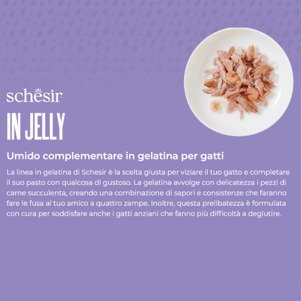 Bauzaar confezione da 6 Qualità