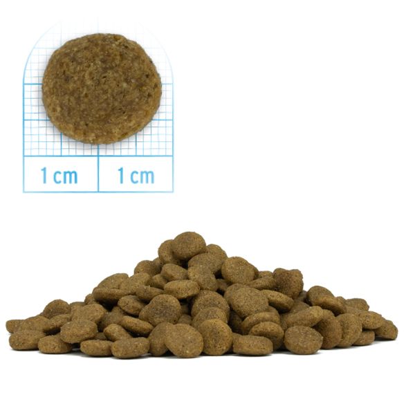 Bauzaar Forza10 MonoDiet Medium Adult Low Grain Hypoallergenic Pesce Pezzi Unici
