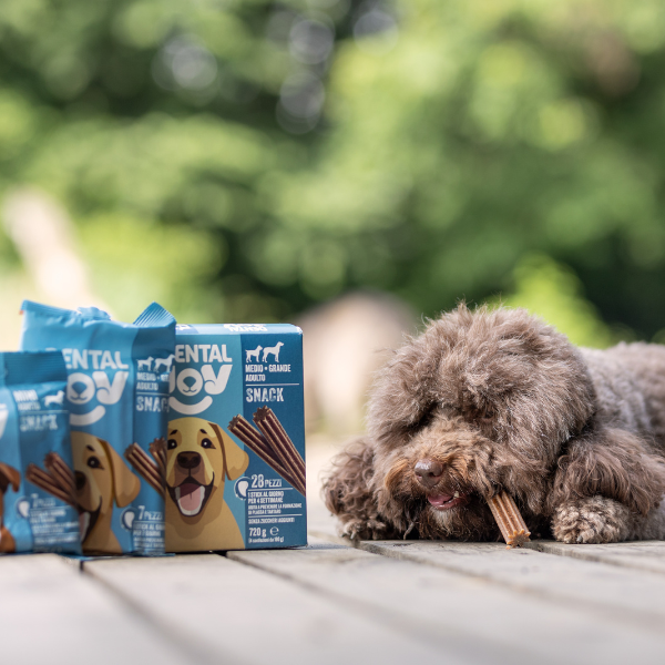 Bauzaar DentalJoy Dog Adult Medium/Large Snack Dentali Soddisfazione Garantita