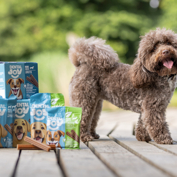 Bauzaar DentalJoy Dog Adult Medium/Large Snack Dentali Soddisfazione Garantita