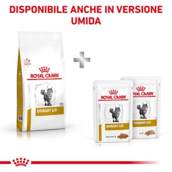 Bauzaar Royal Canin Urinary S/O Negozi Online