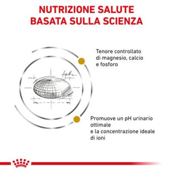 Bauzaar Royal Canin Urinary S/O Negozi Online