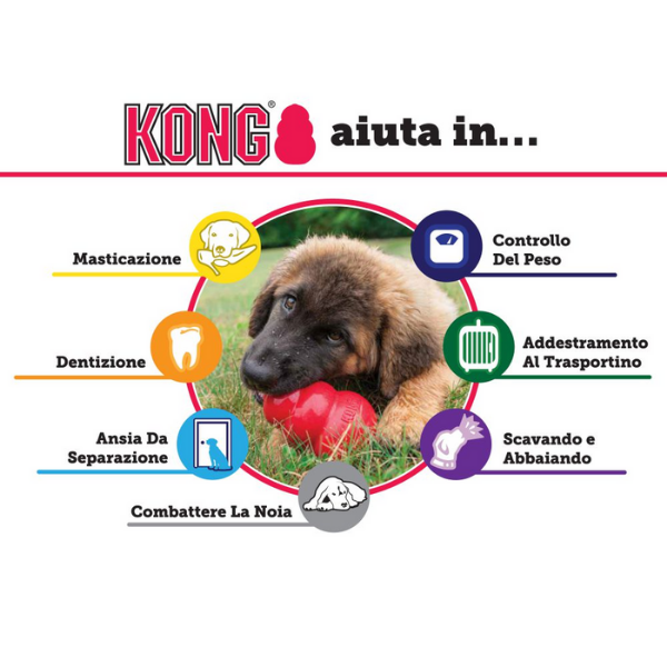 Bauzaar Kong Extreme Promozione Limitata