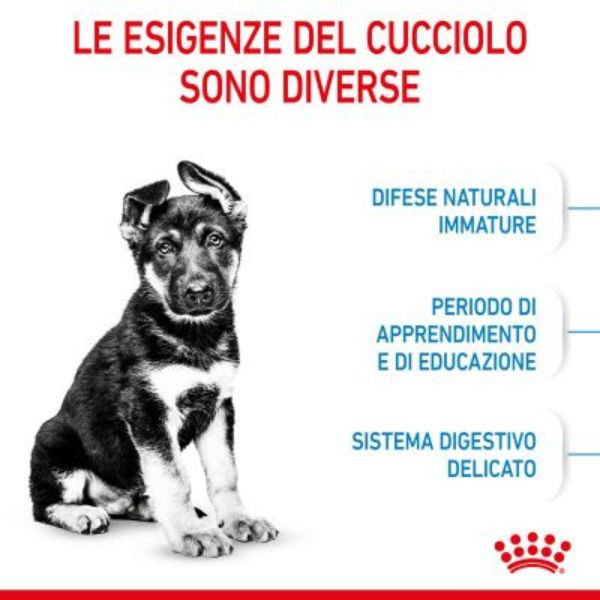 Bauzaar Royal Canin Maxi Puppy Junior Offerte