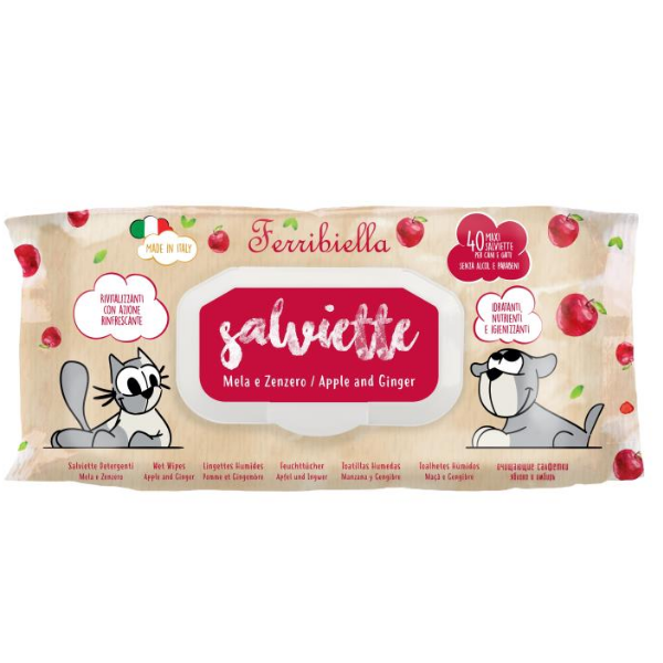 Bauzaar Salviette Detergenti Ferribiella 40 pezzi Hotsell
