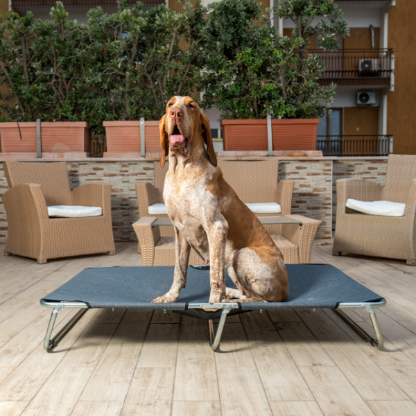 Bauzaar Brandina richiudibile per cani da esterni PetUp 2025