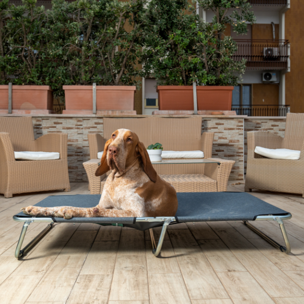 Bauzaar Brandina richiudibile per cani da esterni PetUp 2025