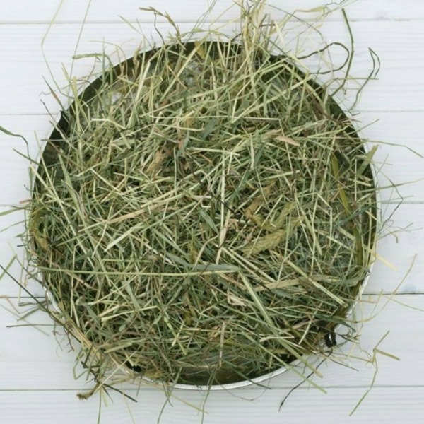 Bauzaar Bunny Fieno Nature 600 gr Qualità