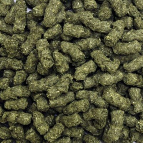 Bauzaar Croci Rabbit Roger Green alimento Conigli Nani Pezzi Unici