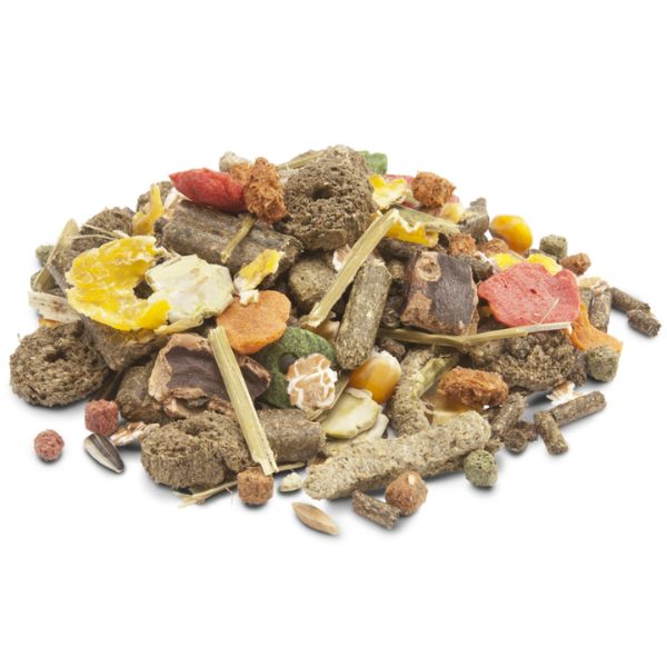 Bauzaar Versele Laga Crispy Muesli per Conigli nani Hotsell