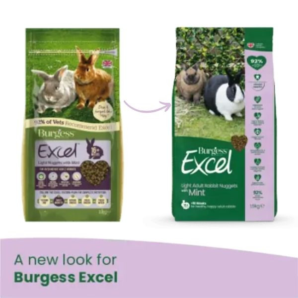 Bauzaar Burgess Excel Coniglio Light Convenienza