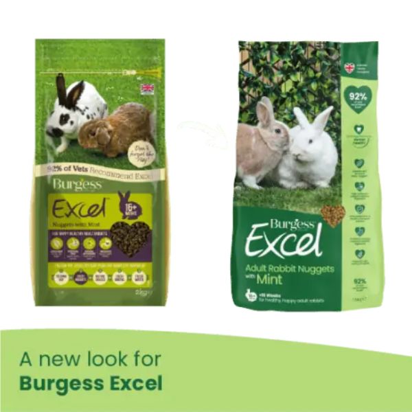 Bauzaar Burgess Excel Coniglio Adult Menta Novità