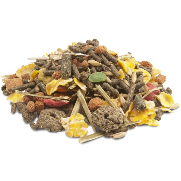 Bauzaar Versele Laga Crispy Muesli Guinea Pigs per porcellini d'india Offerta