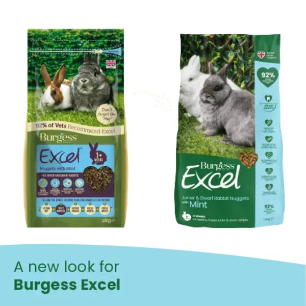 Bauzaar Burgess Excel Coniglio Junior Saldi